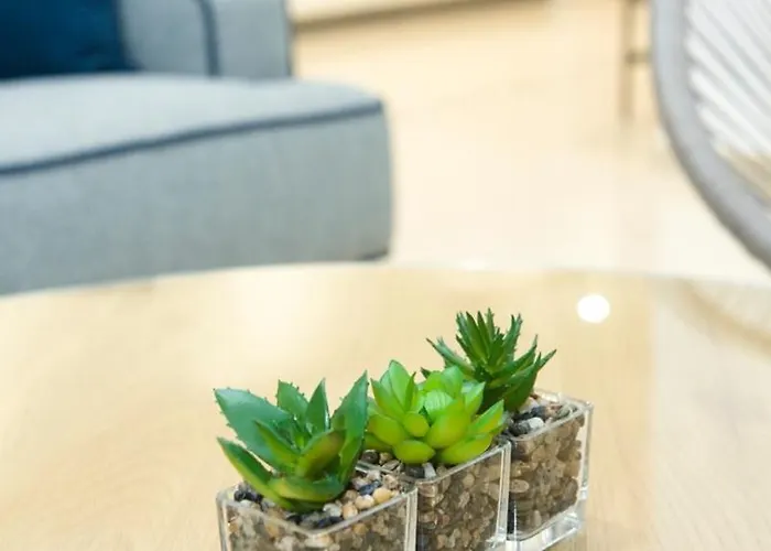 Premium San Cristobal *